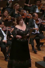 Imagen de Mahler Song Cycles: Songs on the Death of Children - 1