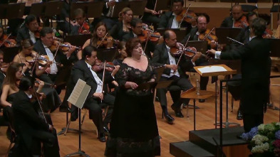 Imagen de Mahler Song Cycles: Songs on the Death of Children - 2