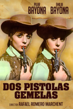Imagen de Dos pistolas gemelas - 1