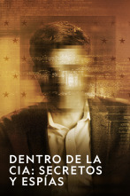 Imagen de Dentro de la CIA:...: Kari Amelung - 2