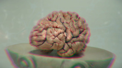 Imagen de Secretos del cerebro: Ep.1 - 2