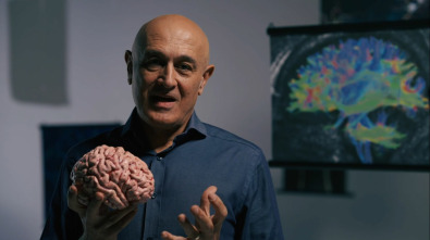 Imagen de Secretos del cerebro: Ep.1 - 6