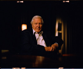 Imagen de La vida en la Tierra con David Attenborough - 8