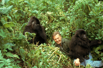 Imagen de La vida en la Tierra con David Attenborough - 4