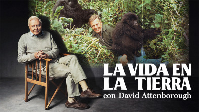 Imagen de La vida en la Tierra con David Attenborough - 2