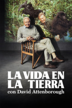 Imagen de La vida en la Tierra con David Attenborough - 1