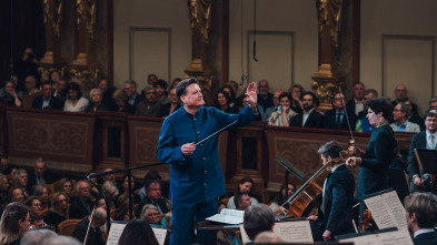 Imagen de Brahms: Sinfonía n.º 4, Doble concierto - Christian Thielemann, Wiener Philharmoniker - 2