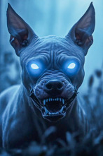 Imagen de Monstruos: archivos...: Carolina Chupacabra - 1
