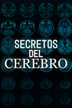 Imagen de Secretos del cerebro  - 1