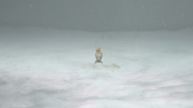 Imagen de Invierno en marzo - 10