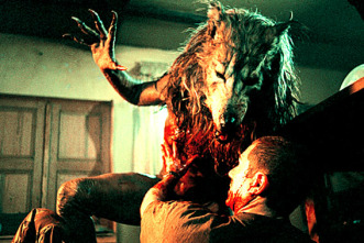 Imagen de Dog Soldiers - 6