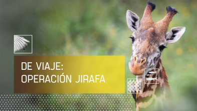 Imagen de De viaje: Operación Jirafa - 2