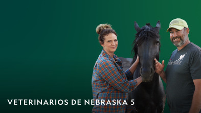 Imagen de Veterinarios de... (T5): Sin pelos en la lengua - 2