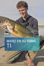 Imagen de Mario en su prime (T1) - 1