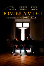 Imagen de Dominus Videt - 1