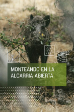 Imagen de Monteando en La Alcarria abierta - 1