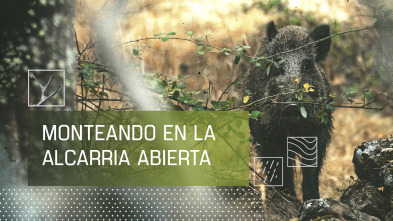 Imagen de Monteando en La Alcarria abierta - 2
