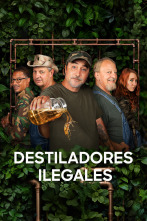 Imagen de Destiladores ilegales (T11) - 1