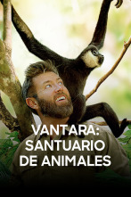 Imagen de Vantara: santuario de animales  - 1