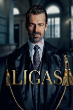 Imagen de Ligas (T1) - 1