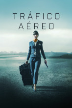 Imagen de Tráfico aéreo (T1) - 1