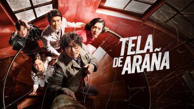 Imagen de Tela de araña - 2