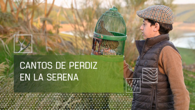 Imagen de Cantos de perdiz en La Serena - 2