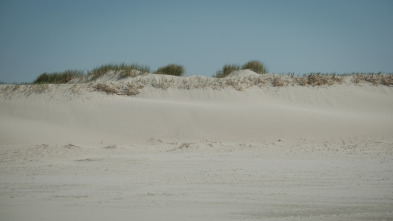 Imagen de La isla de Amrum - 9