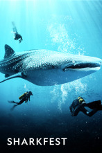 Imagen de Sharkfest  - 1
