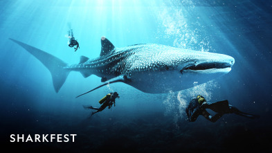 Imagen de Sharkfest  - 2
