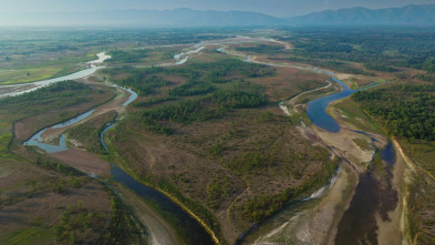 Imagen de La isla de los tigres: Ep.1 - 6