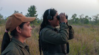 Imagen de La isla de los tigres: Ep.1 - 8