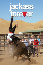 Imagen de Jackass Forever - 1