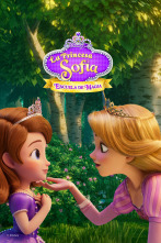 Imagen de La princesa Sofía: escuela de magia (T1) - 1