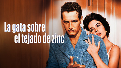 Imagen de La gata sobre el tejado de zinc - 2