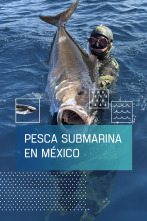 Imagen de Pesca submarina en México - 1