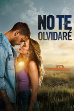 Imagen de No te olvidaré - 1