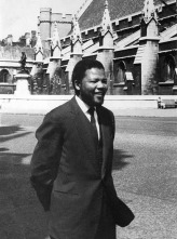 Imagen de Free Nelson Mandela  - 6