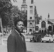 Imagen de Free Nelson Mandela  - 7