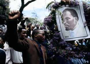 Imagen de Free Nelson Mandela  - 11