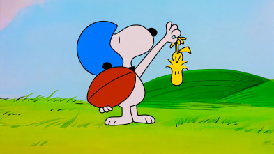 Imagen de El show de... (T1): La carrera de fútbol americano de Snoopy - 2