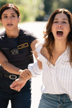 Imagen de Allegiance (2024) (T3): Ep.1 Al límite de la ley - 1