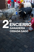 Imagen de Vive San Fermín (T2026): Ep.3 - 1
