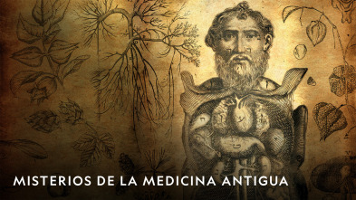 Imagen de Misterios De La...: La copa de James Cook, el hospital militar romano, los manuscritos de bambú - 2