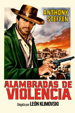 Imagen de Alambradas de violencia - 1