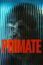 Imagen de Primate - 1