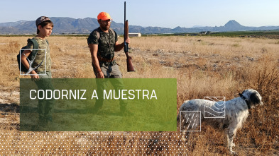 Imagen de Codorniz a muestra - 2