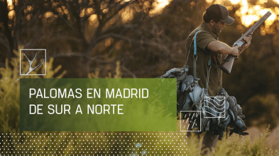 Imagen de Palomas en Madrid de sur a norte - 2