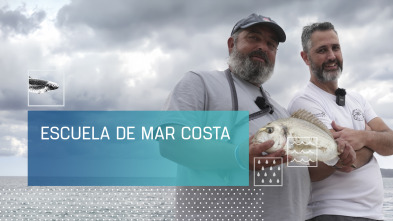 Imagen de Escuela de mar costa - 2