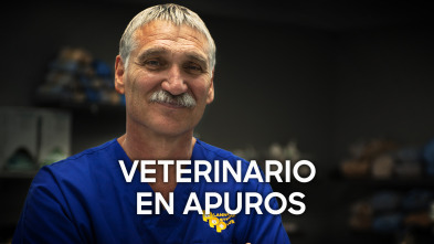 Imagen de Veterinario en apuros: Un golpe de mala suerte - 2